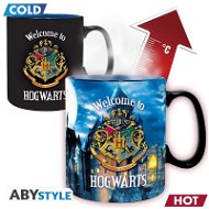 Harry Potter - Hogwarts Letter - Transfiguration Mug - Mug