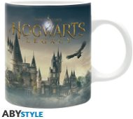 Hogwarts Legacy - Castle - hrnek - Hrnek