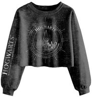 Mikina Harry Potter: Hogwarts Constellations - Dámská mikina XL - Mikina
