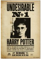 Harry Potter - Nežádoucí No.1  - plakát - Plakát