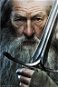 Plagát The Lord Of The Rings – Pán prsteňov – Gandalf – plagát - Plakát