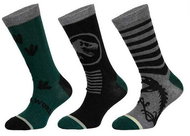 3PACK Jurassic World multi-coloured shorts, kids (39267/green) 27/30 - Socks