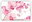 GOBA Placemats plastic Orchid