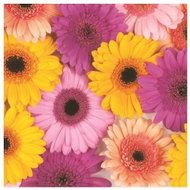 Gerbery - Paper Napkins