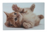 GOBA Plastic Cat - Placemat