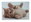 GOBA Plastic Cat