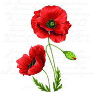 Goba Napkins Proud Poppy 13316120 - Paper Napkins