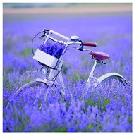 Goba Napkins Round in Lavender 13317485 - Paper Napkins