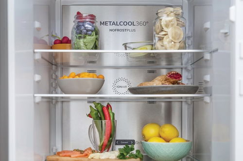 GORENJE NRC6194SXL5M MetalCool - Chladnička | Alza.cz