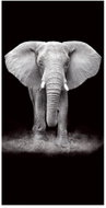 Gordon H82 Quick-drying microfiber beach towel, elephant, 100 × 180 cm - Bath Towel
