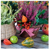 Goba napkins Heather in a cupcake - Paper Napkins