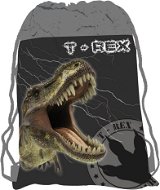  PLUS T-Rex - bag gym shoes  - Shoe Bag