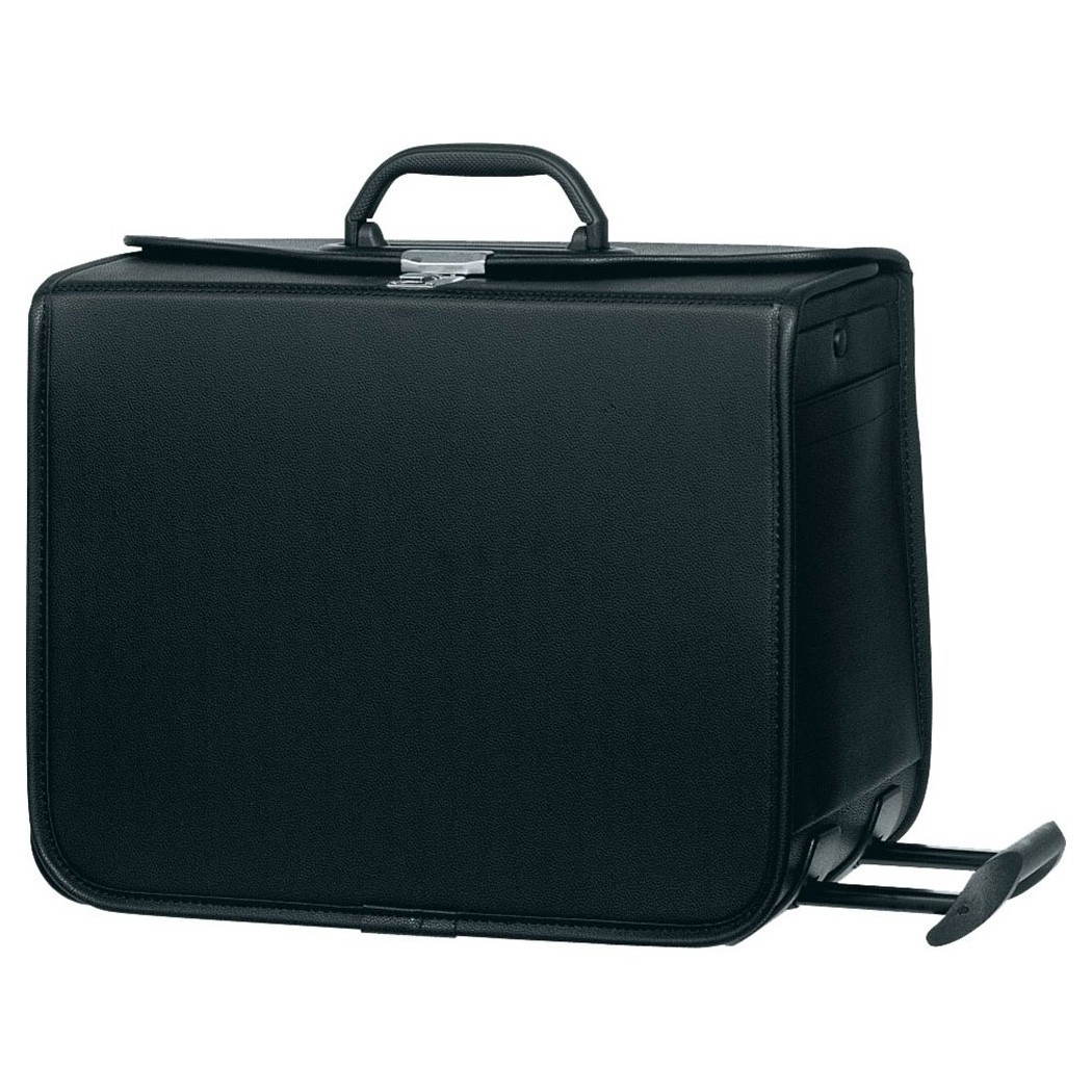 Samsonite transit 2 online