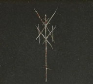 Wiegedood: There's Always Blood At The End Of The Road LTD - Music CD