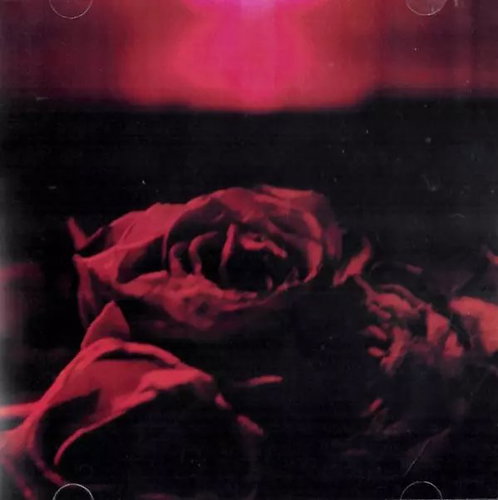 The Paper Kites: Roses Main image The Paper Kites: Roses - Music CD - Main image