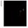 Fundamental / Further Listening 2005–2007