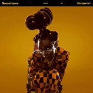 Little Simz: Sometimes I Might Be Introvert DIGI - Music CD