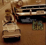 Mr. Big: Big, Bigger, Biggest: The Best Of Mr. Big - Music CD