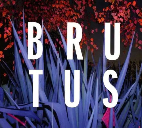 Brutus: Burst - Music CD - Main image