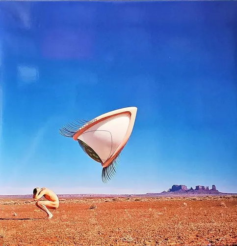 The Cranberries: Bury The Hatchet LTD - LP Record - Main image