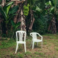 Bad Bunny: I should have taken more photos - LP Record