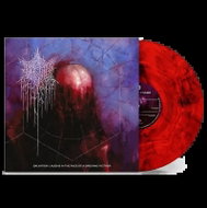 PSYCHO-FRAME: Salvation laughs in the face of a grieving mother - LP Record