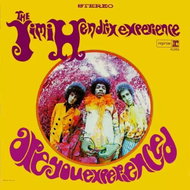 The Jimi Hendrix Experience: Are You Experienced - LP Record