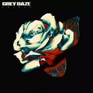 Grey Daze: Amends Dlx Ltd Clr - LP Record