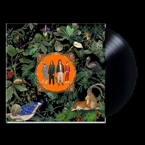 Don Broco: Amazing Things LTD - LP Record - Main image