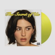 Abrams Gracie: The Secret of Us - LP Record