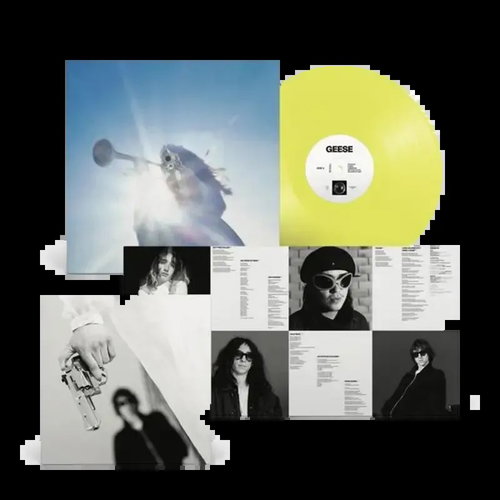 Goose: Getting Killed transparent - LP Record - Main image