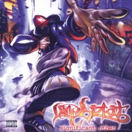 Limp Bizkit: Significant Other 25th - LP Record
