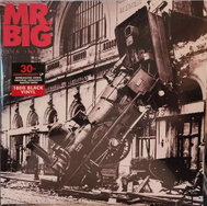 Mr. Big: Lean Into It LTD - LP Record