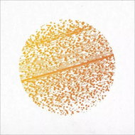 The Gathering: Beautiful Distortion CLR - LP Record