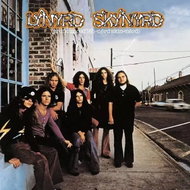 Lynyrd Skynyrd: (Pronounced 'Leh-'nérd 'Skin-'nérd) gatefold - LP Record