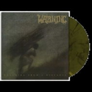 Warning: watching from a distance - LP Record