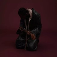 Montell Fish: Charlotte Purified Deluxe Clr Dlx - LP Record