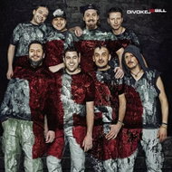 Divokej Bill: 15 - LP Record