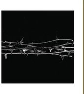 Amenra: De Doorn CLR - LP Record