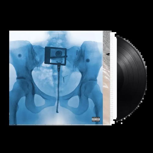 Lorde: Virgin - LP Record - Main image