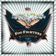 Foo Fighters: In Your Honor - LP Record