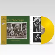 The Waterboys: Fisherman's Blues - LP Record
