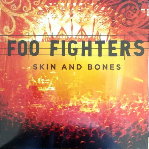 Foo Fighters: Skin and Bones - LP Record - Main image