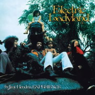 The Jimi Hendrix Experience: Electric Ladyland DLX - LP Record