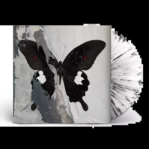 Death Cult: Paradise Now Clr Ltd - LP Record - Main image