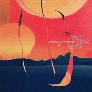 Tom Misch: What Kinda Music - LP Record