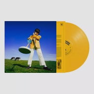 Declan McKenna: What Happened to the Beach? - LP Record