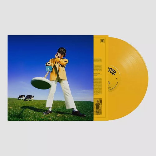 Declan McKenna: What Happened to the Beach? Main image Declan McKenna: What Happened to the Beach? - LP Record - Main image