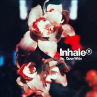 Inhaler: Open Wide - LP Record