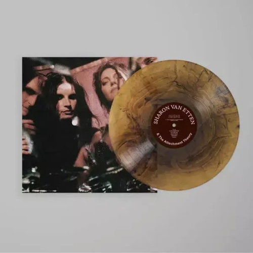 Sharon Van Etten: Sharon Van Etten & The Attachment Theory - LP Record - Main image